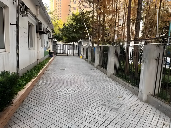 深圳入户积分方法_「女性互助」大潮中，为什么《花漾》要呈现女性关系中的「毒性」成分？ 政府地方的高度重各个视